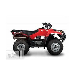 Honda TRX 250 TM 2020