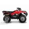 Honda TRX 250 TM 2020