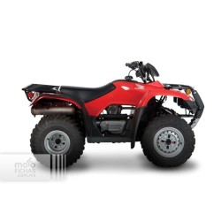 Honda TRX 250 TM 2020