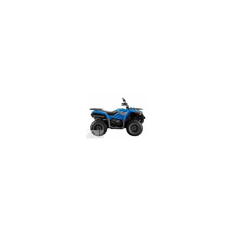 CFMoto CFORCE 450 2021