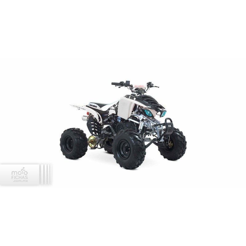 Carabela Gorilla Sport