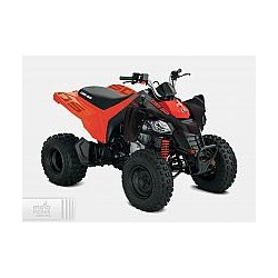 Can-Am DS 250 2021