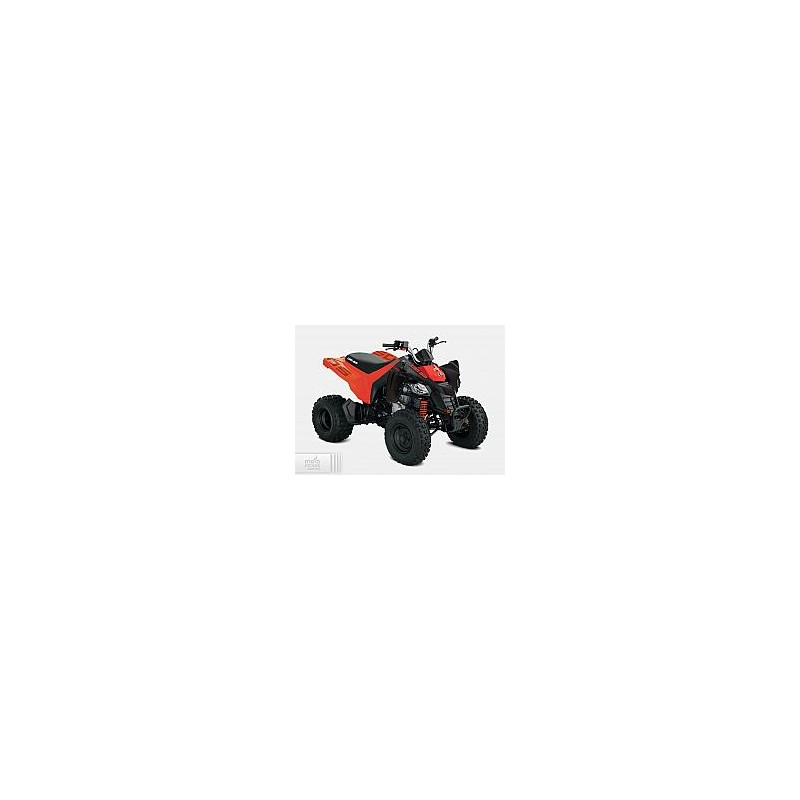 Can-Am DS 250 2021