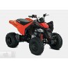 Can-Am DS 250 2021