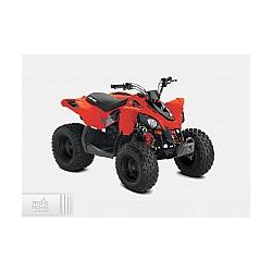 Can-Am DS 90 2021