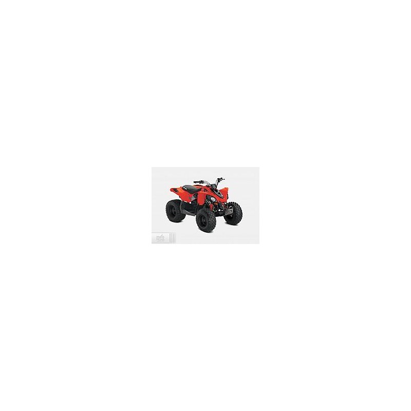 Can-Am DS 90 2021