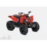 Can-Am DS 90 2021