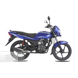 Bajaj Platina 100