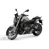 BMW R 1250 R 2023-2024