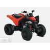 Can-Am DS 250 2021
