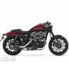 Harley-Davidson Roadster 2017-2020