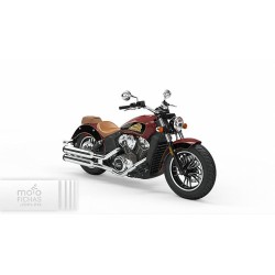 Indian Scout 2019-2020