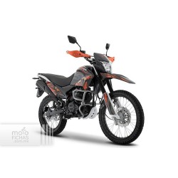 Italika DM250