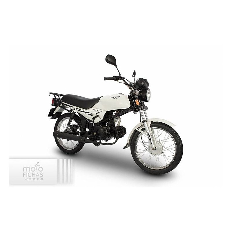 Italika DT110 Delivery