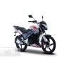 Italika DT 250 Sport