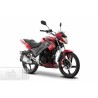 Italika FT250 TS