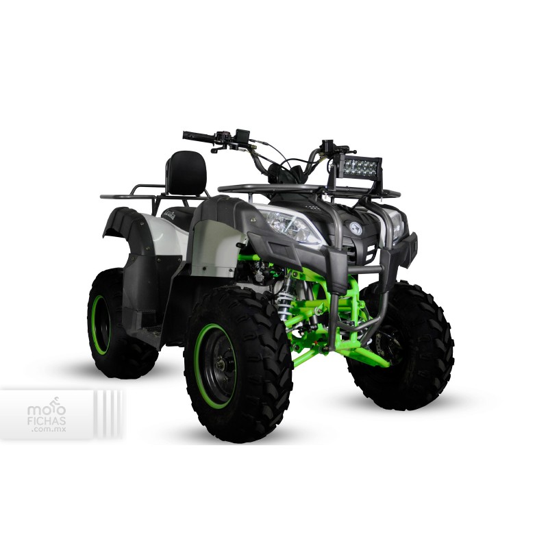 Izuka Motos Beast 200