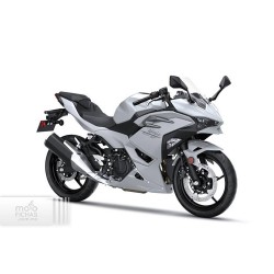 Kawasaki Ninja 500 ABS 2024