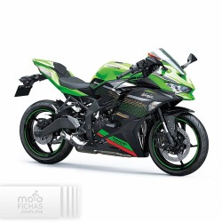 Kawasaki Ninja ZX-25R 2021
