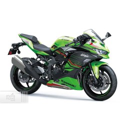Kawasaki Ninja ZX-4RR 2024