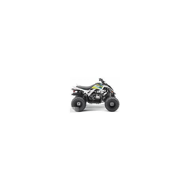 Yamaha YFM90R 2022