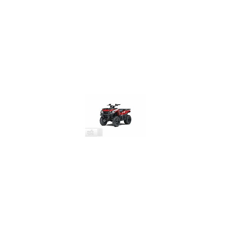 Kawasaki Brute Force 300 2021